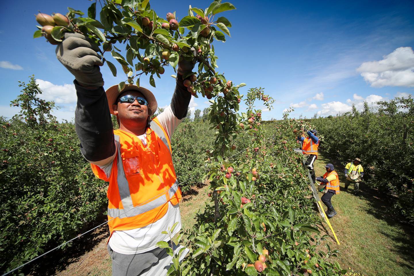 Seasonal Work Visa