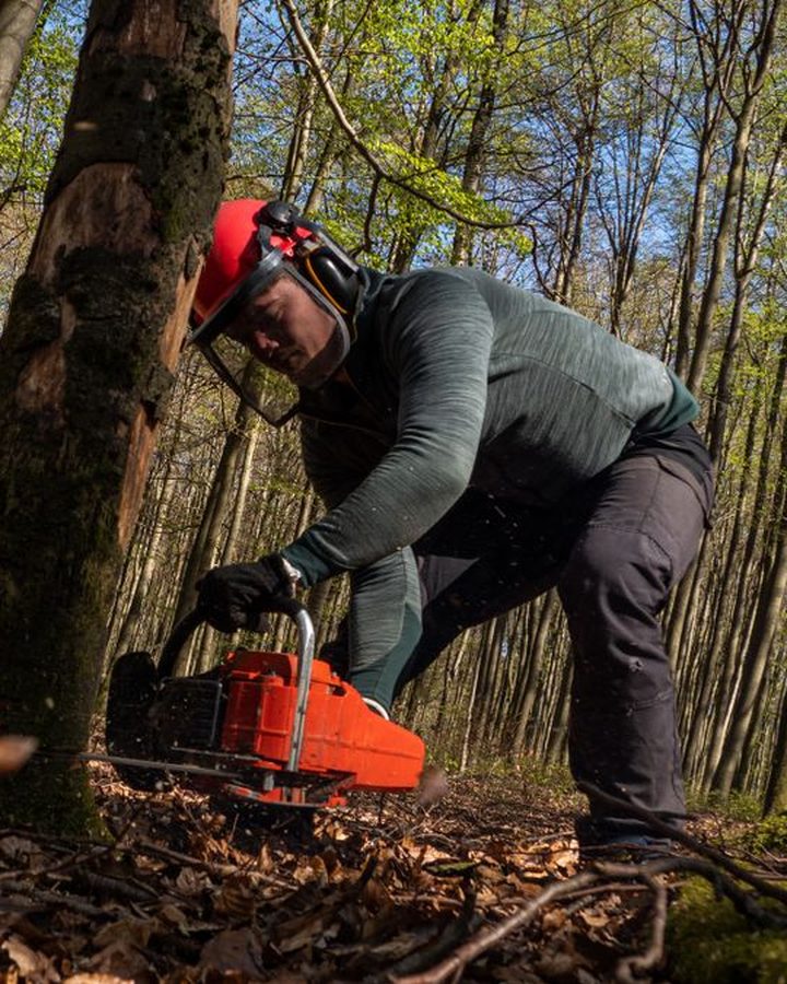 Forestry and Green Area Worker